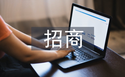 文创园招商使命总结